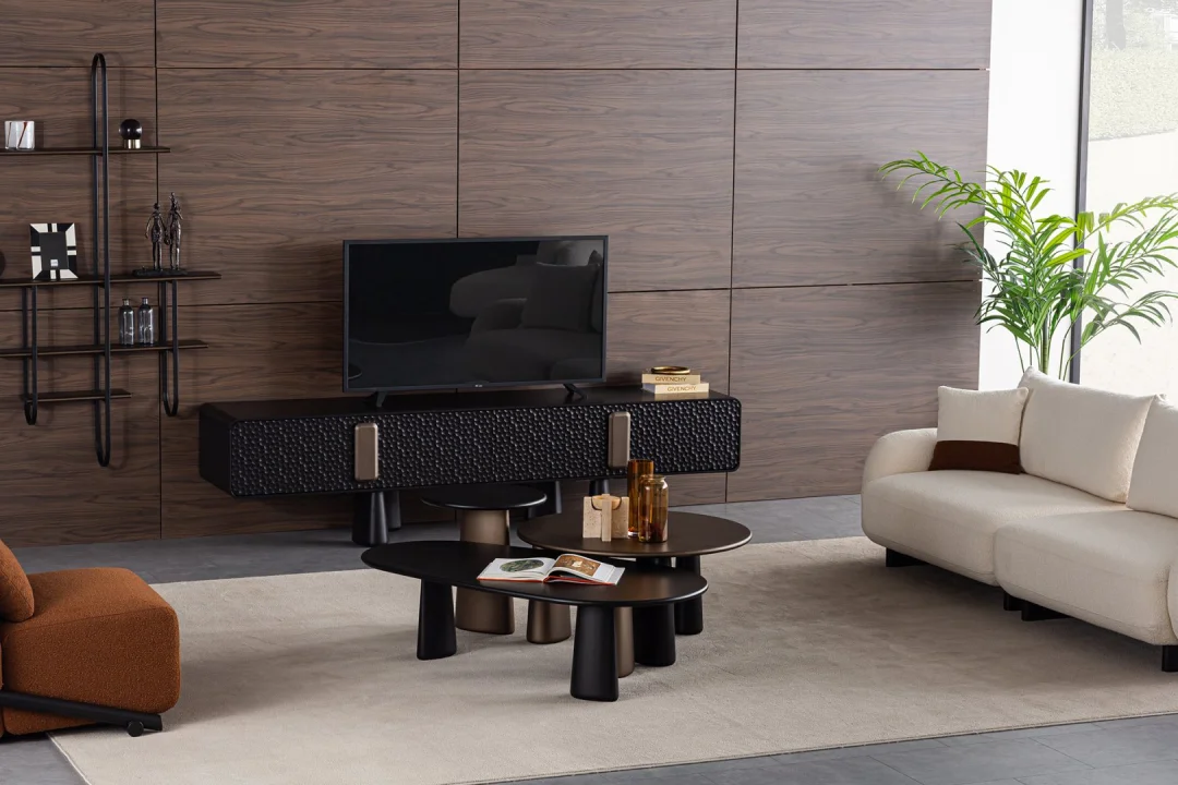 Modern TV Ünitesi Modelleri