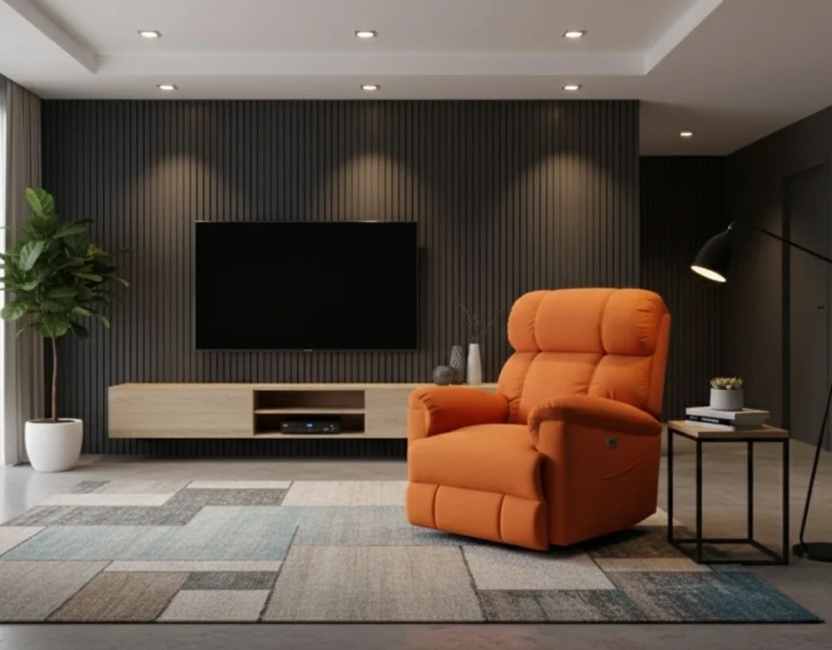 TV Koltuğu Modelleri 